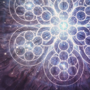 The Divine Code [Lenticular]