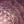 FLOWER OF LIFE