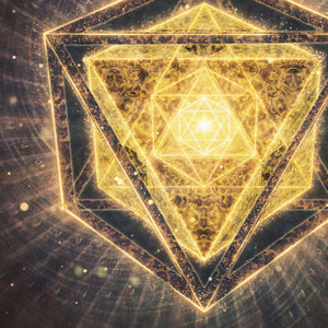 Primordial Forms [Lenticular]