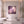 Ancestral Bloom