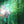 Emerald Deva