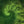 Gaia’s Pulse