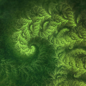 Gaia’s Pulse