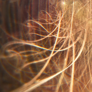Lux Aeterna