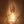 Quantum Synchrony